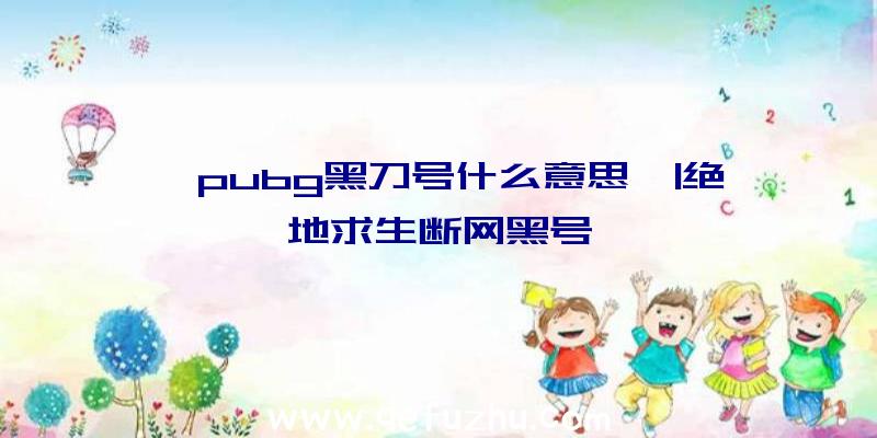 「pubg黑刀号什么意思」|绝地求生断网黑号